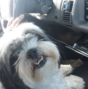 Meet your Posher, Austin allen